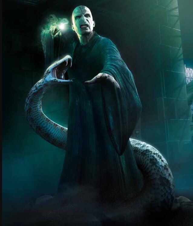 In the Spotlight Nagini Harry Potter Amino