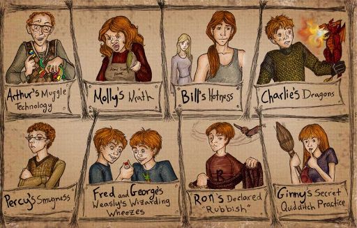 bill-weasley-wiki-harry-potter-amino