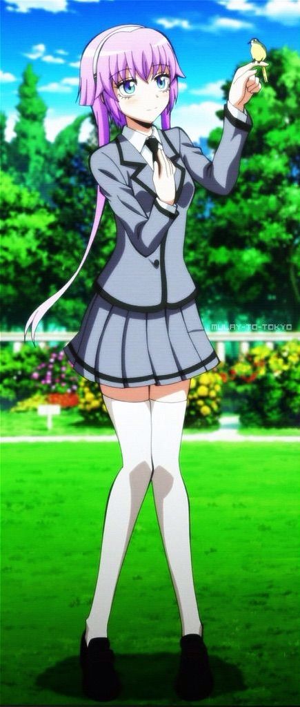 Assassination Classroom Girls Anime Amino