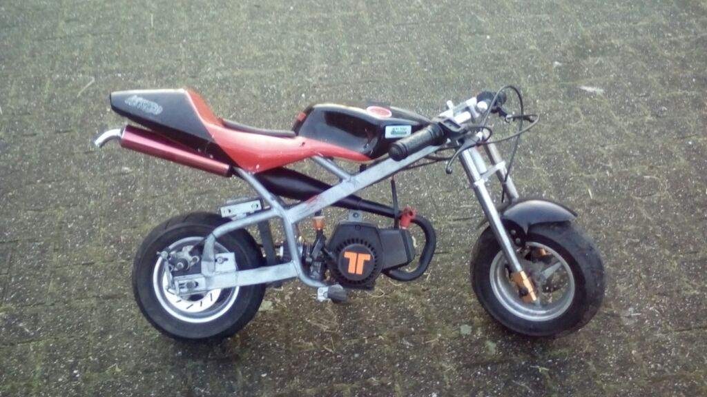 pocket bike shops