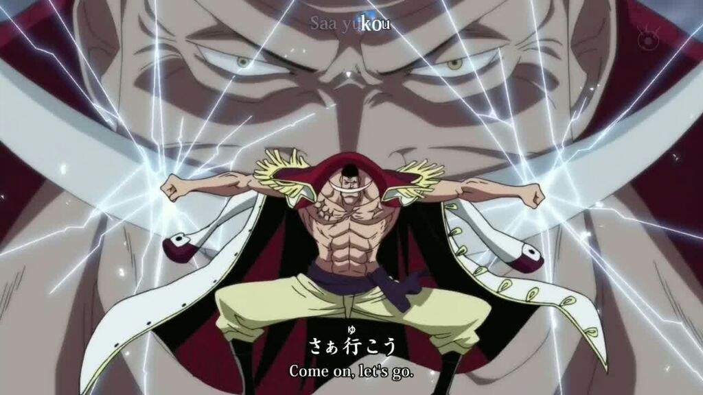 Top Ten Strongest One Piece Characters | Anime Amino