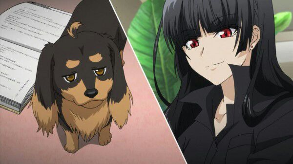 Anime Duos | Anime Amino