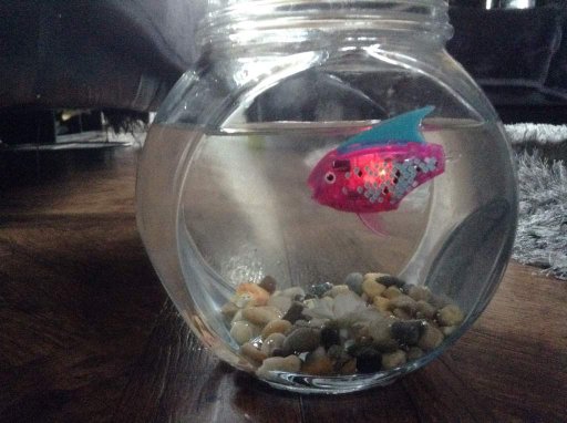 robo fish tank