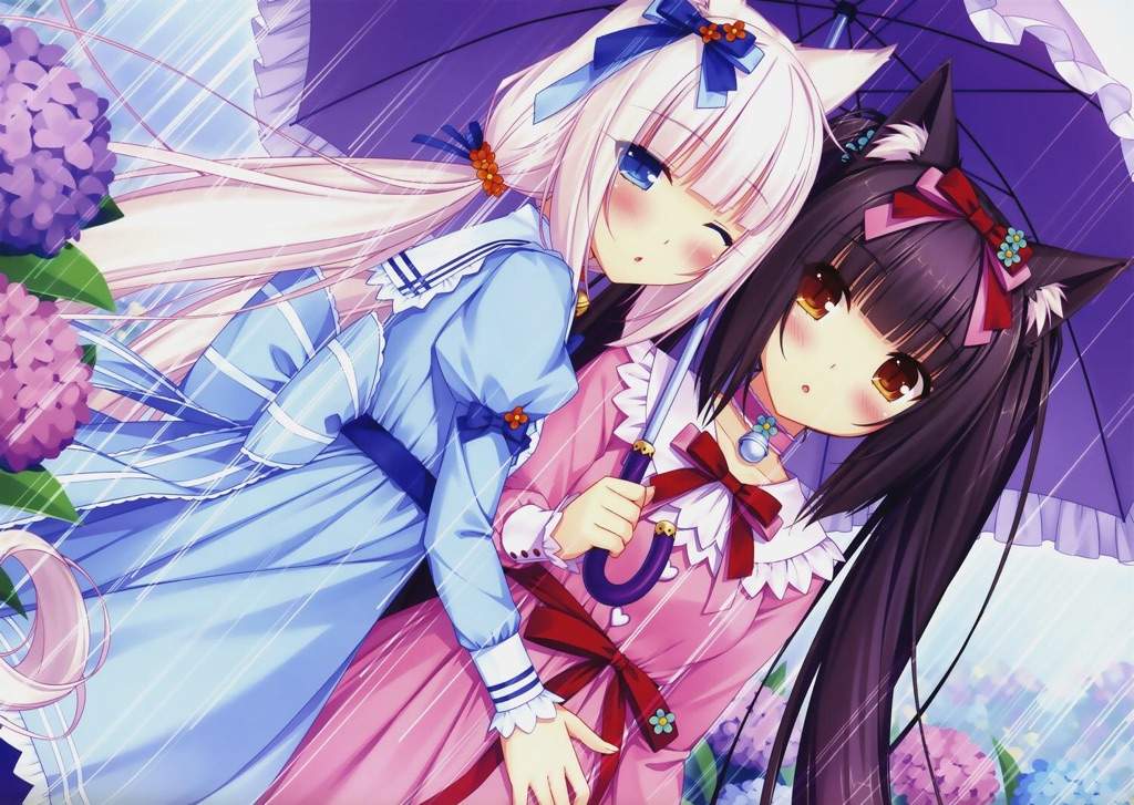 chocola and vanilla figure