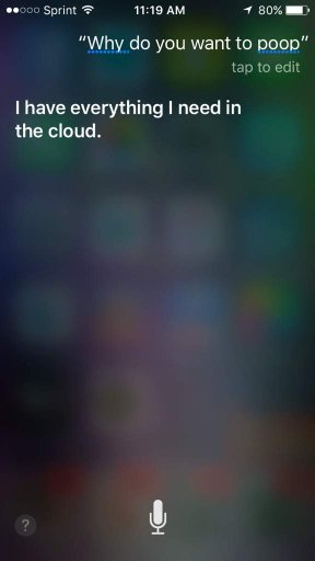 chat with siri anime