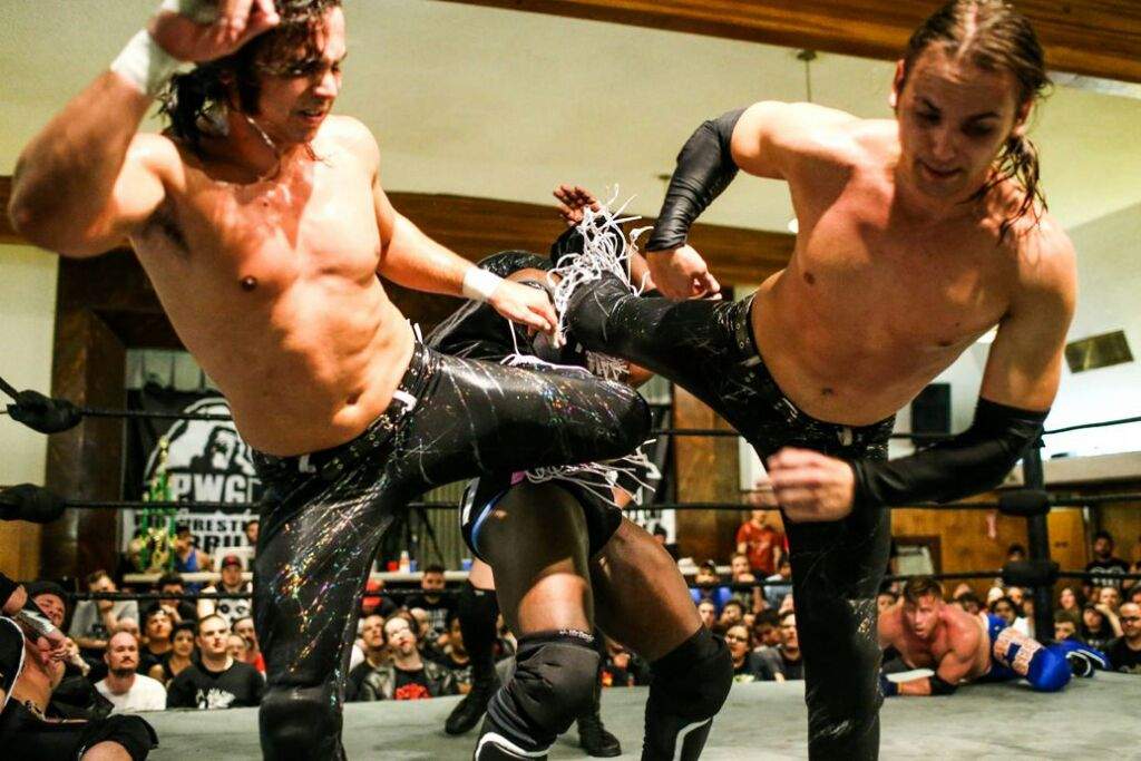 The Young Bucks Wrestling Amino