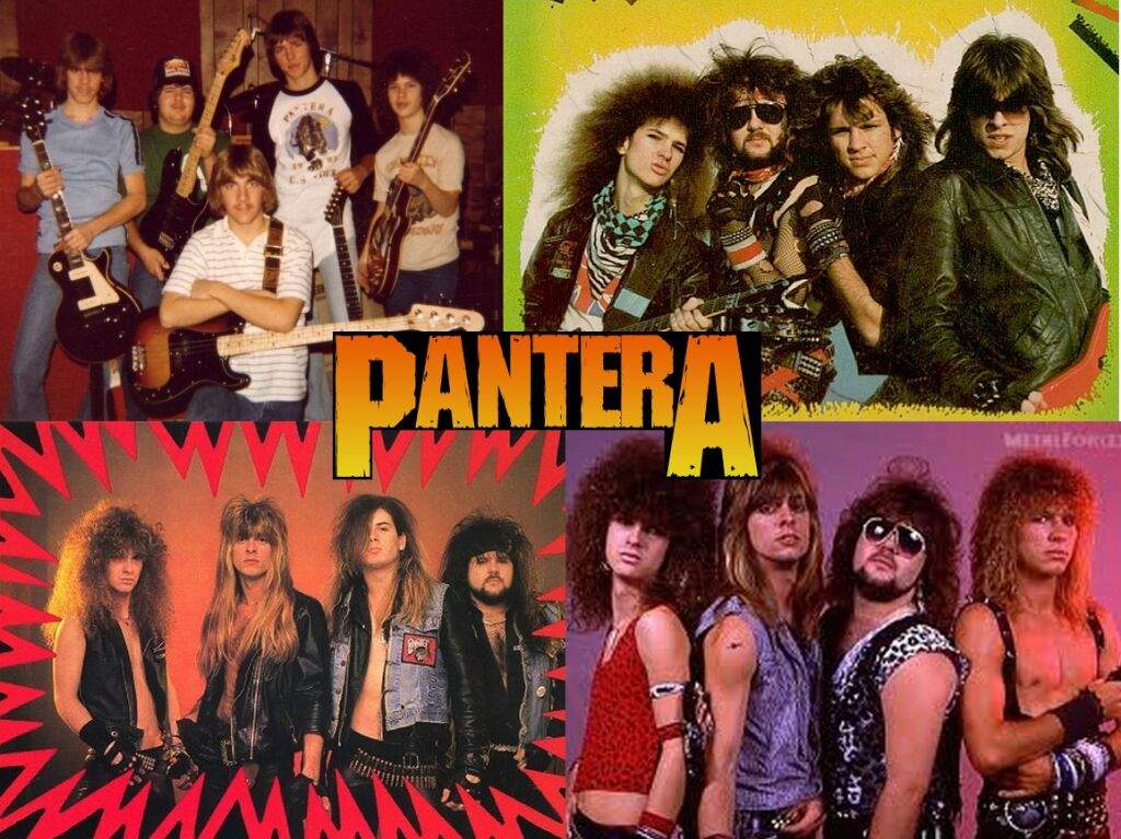 Pantera( Glam Metal or Grove Metal) Metal Amino