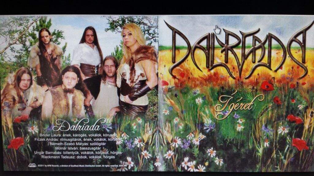 Dalriada Metal Amino