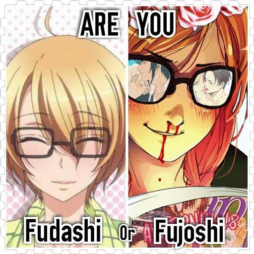 Fudanshi or fujoshi? | Anime Amino