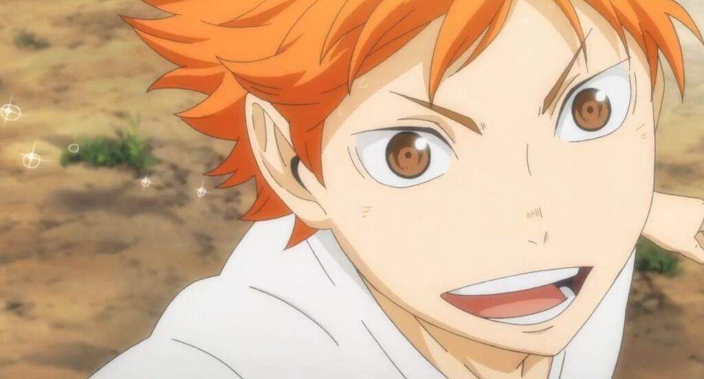 shoyo hinata smile