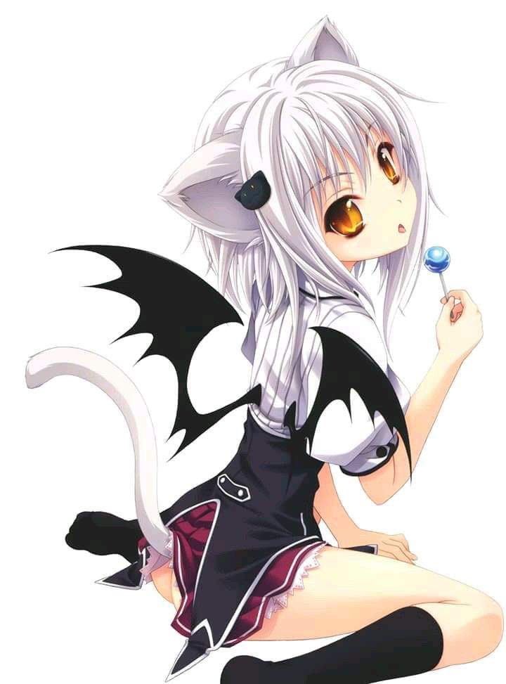 Especial Seguidores Y Chicas Neko W Anime Amino