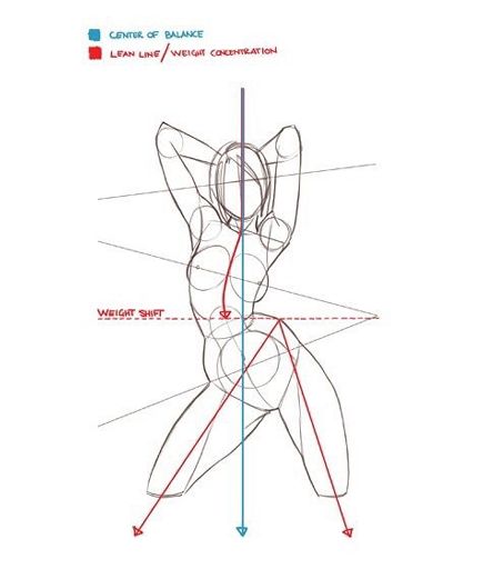 female anatomy for drawing