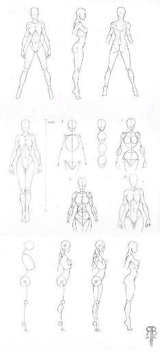 Female Anatomy-Drawing Tutorials | Wiki | Art Amino