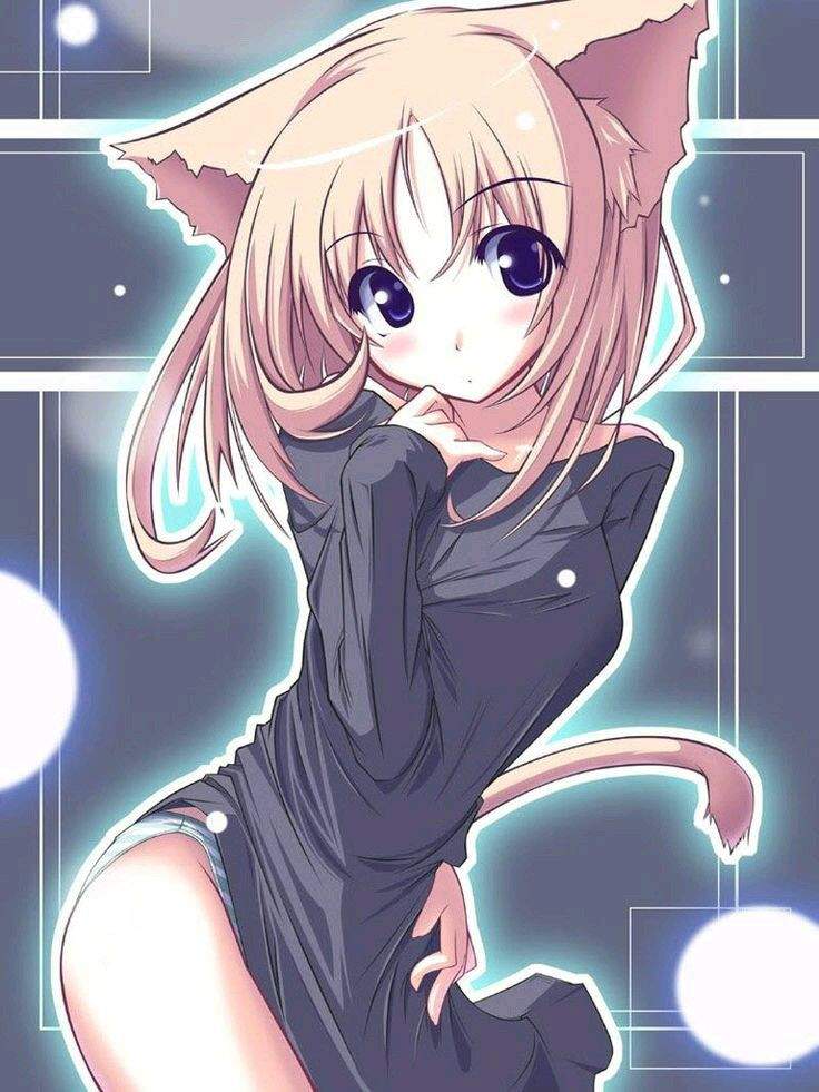 Especial Seguidores Y Chicas Neko W Anime Amino