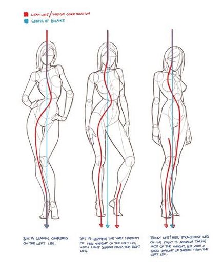 Female Anatomy Drawing Tutorials Wiki Art Amino