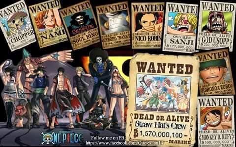 Total Bounty Of Straw Hat Pirate Anime Amino