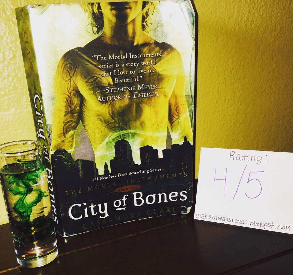 bones book series summary