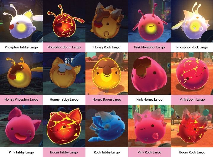 rock and tabby slime rancher