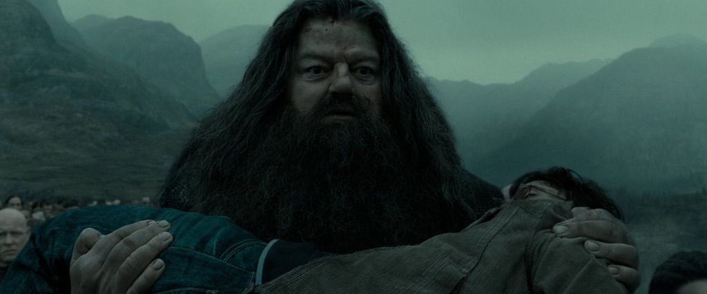 hagrid rubeus harry potter