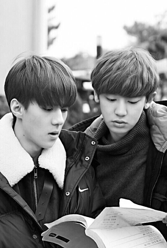 Exo Next Door Asianwiki | park chan yeol 박찬열 k drama amino Exo Next Door Asianwiki | park chan yeol 박찬열 k drama amino