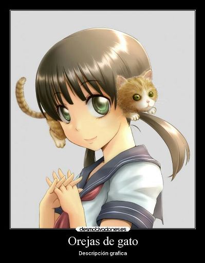 Orejas de gato | •Anime• Amino