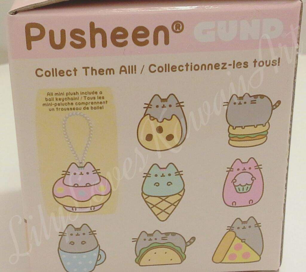 pusheen snack time