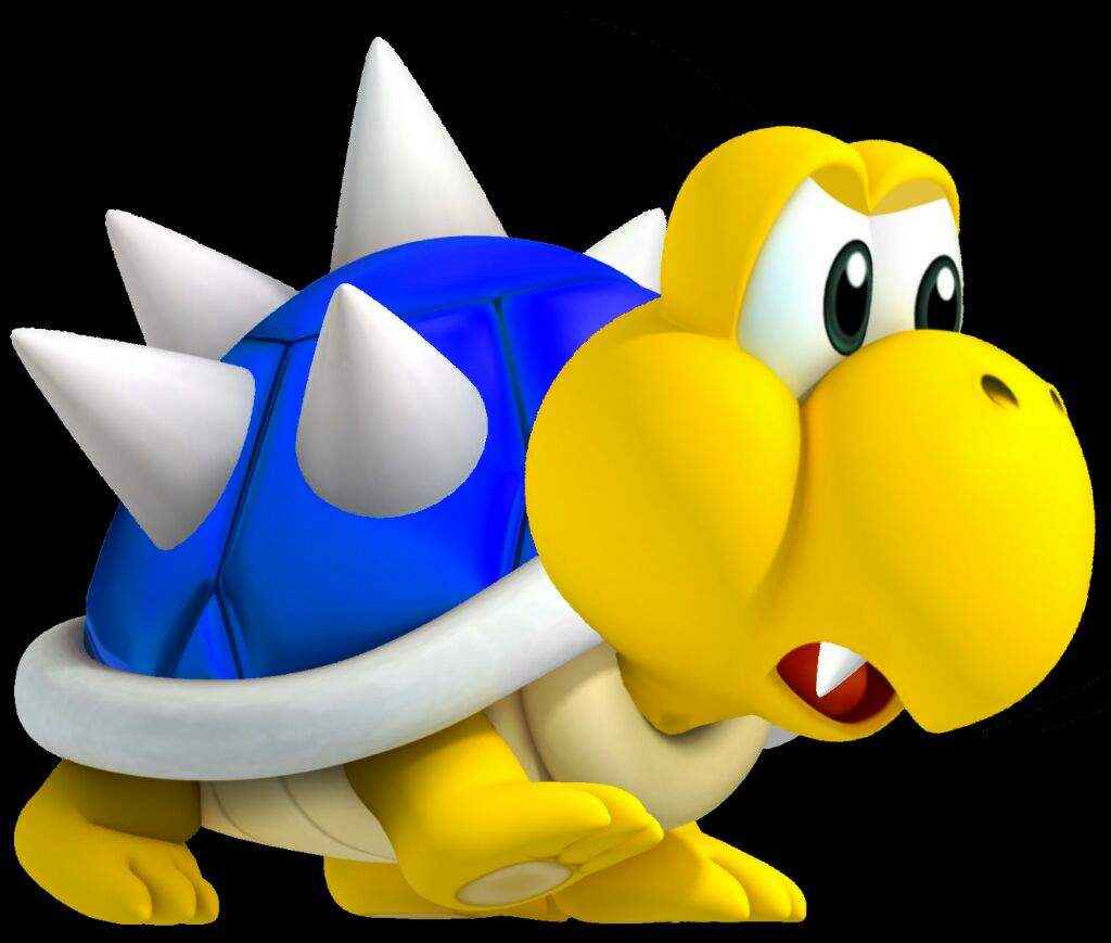 dry koopa