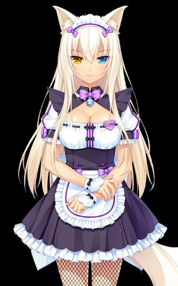 nekopara coconut body pillow