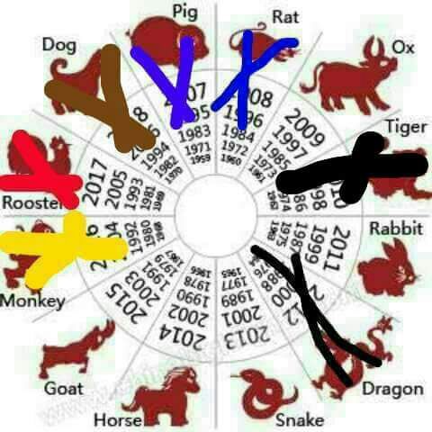 The Chinese zodiac theory is real | Pokémon Amino