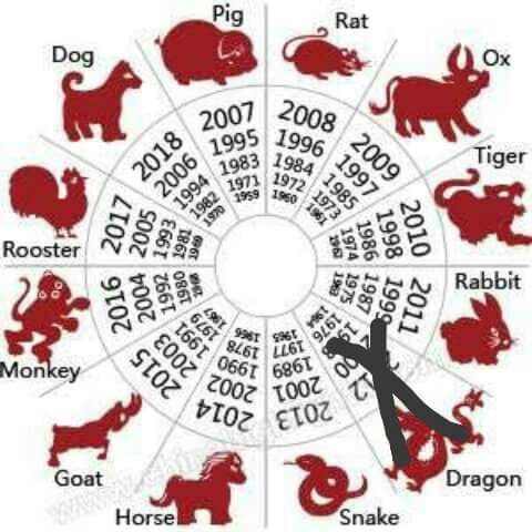 The Chinese zodiac theory is real | Pokémon Amino