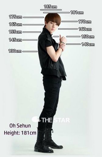 Is 181 Cm Short