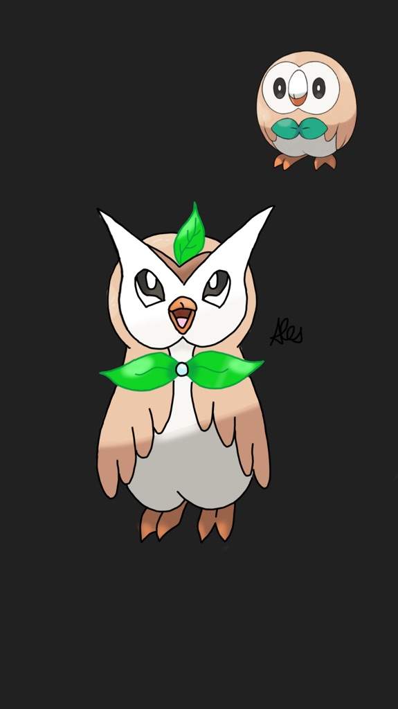 Rowlet And Evolution Digital Art Pokémon Amino 9092