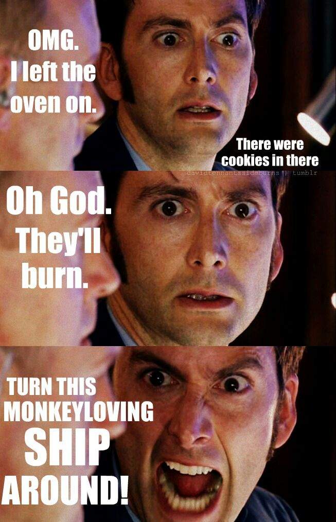 The David Tennant Cookie Meme Doctor Who Amino