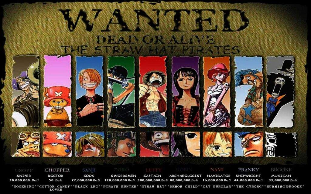 The Strongest Luffy's Crew Member | Anime Amino luffy total crew members