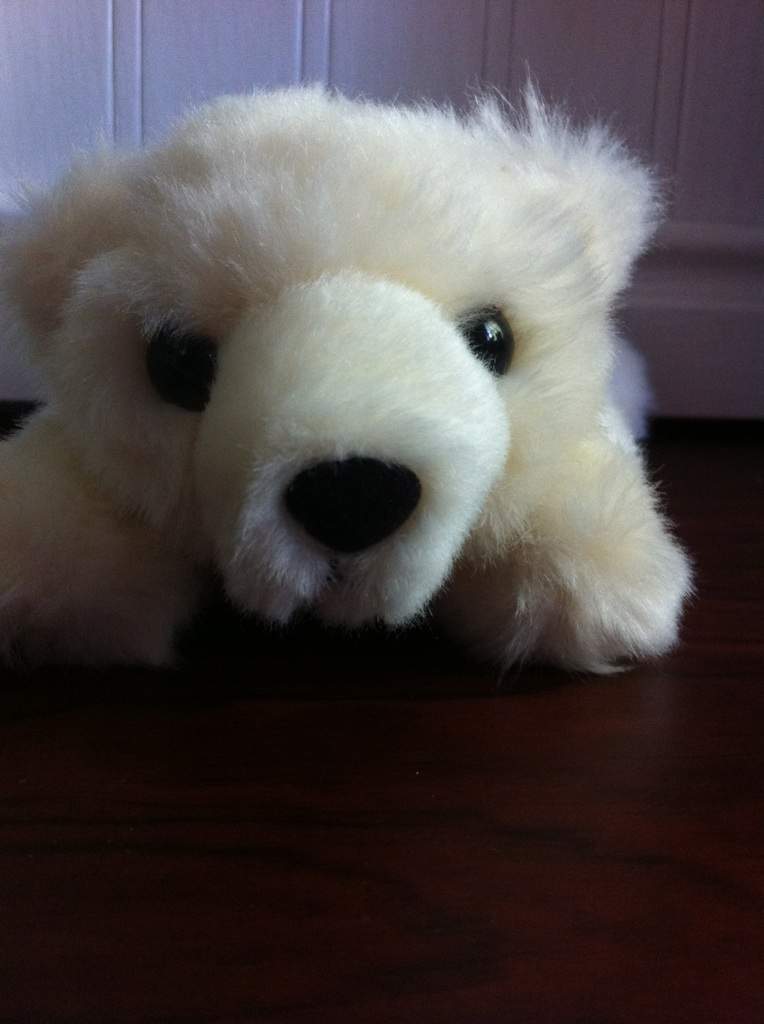 ice bear plushie