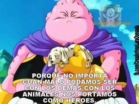 Perritos Mejores Amigos Anime Amino