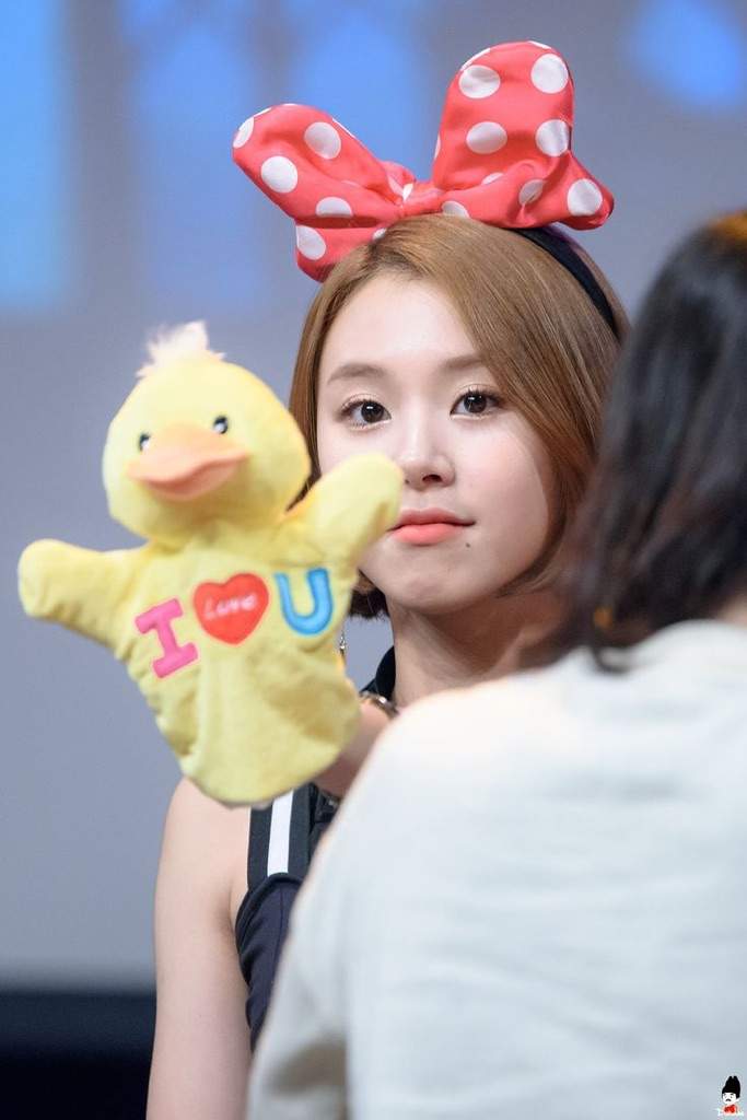 son chaeyoung k pop amino son chaeyoung k pop amino