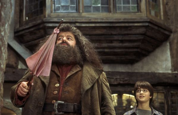 hallmark hagrid storyteller