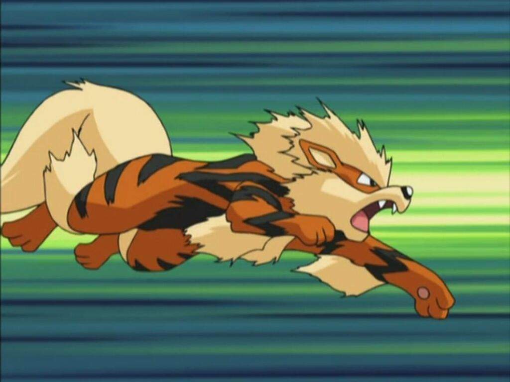 An Lisis Competitivo De Arcanine Pok Mon En Espa Ol Amino