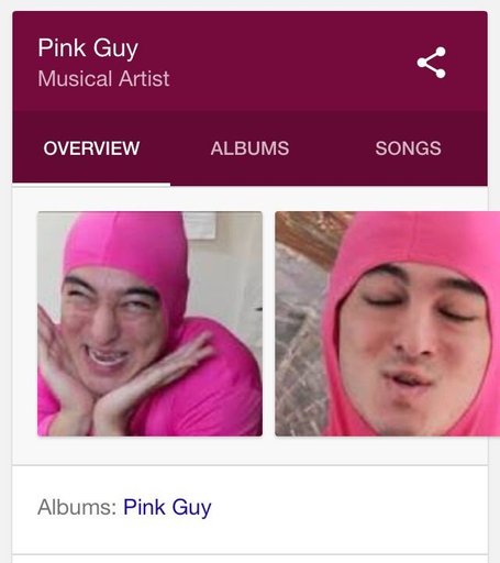 Pink Guy Cooks Stir Fry And Raps Lyrics Ze Mixtapes | Wiki | Anime Amino
