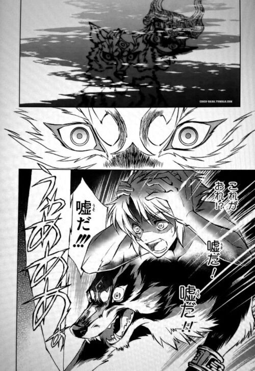Manga Zelda Twilight Princess Tome 10 Manga: The Legend Of Zelda: Twilight Princess | Zelda Amino