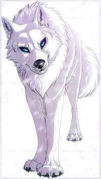 Soul White Wolf Rp | Wiki | Anime Amino