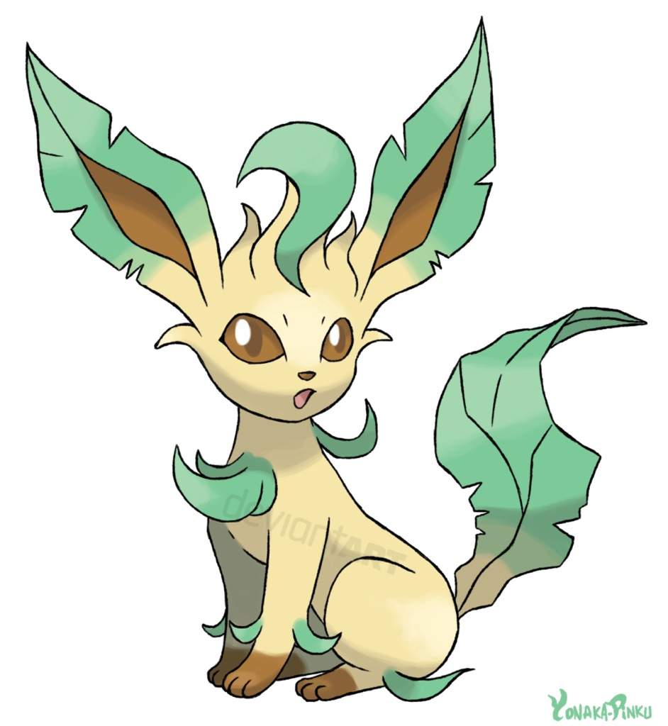 afternoon with eevee leafeon