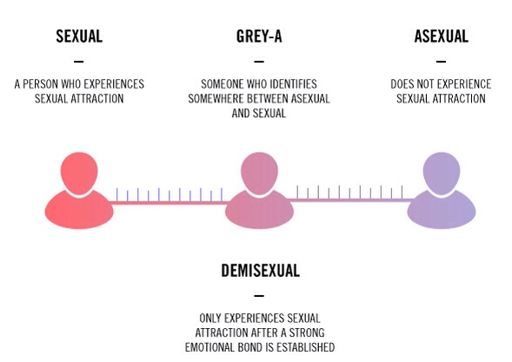 Demisexuality | Wiki | LGBT+ Amino