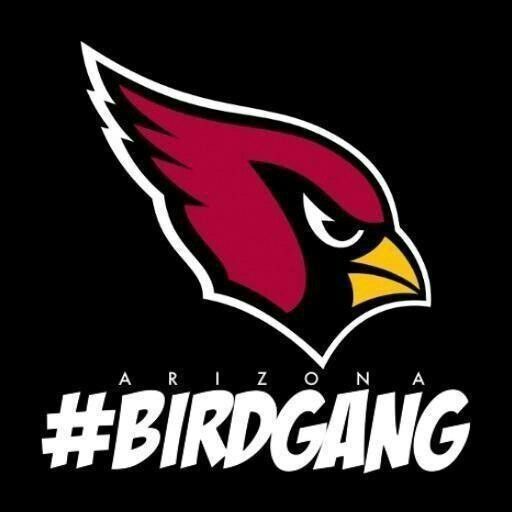 arizona cardinals bird gang shirt