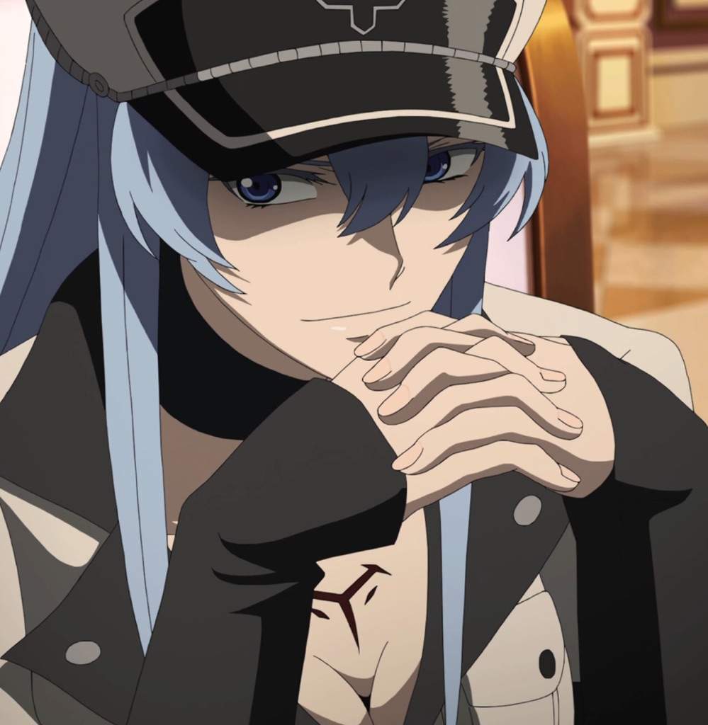 general esdeath figure