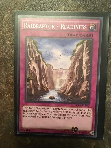 Raidraptor Readiness X3