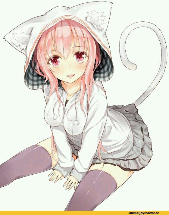 super sonico cat