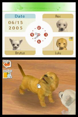 nintendogs teddy