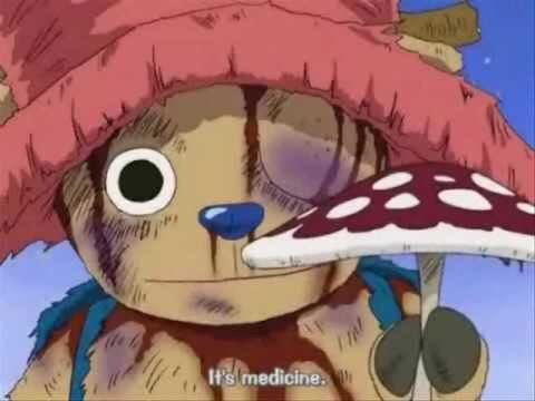 Chopper  Wiki  One Piece Amino